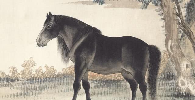 m6最新官网_华北水利水电大学学子走访新中:与你手牵手托起少年梦(图2) 米乐M6官方入口