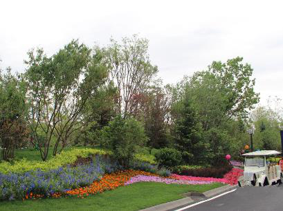 洛阳科技职业学院一教师在全国职业学校汽车类专业说课交流活动中获奖‘m6最新官网’(图1) m6最新官网