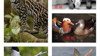 2016江苏高考成绩查询入口:http://stat.jseea.cn/jseea_query/querycenter.‘米乐M6’(图2) m6最新官网