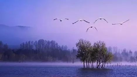 2016甘肃省高考成绩查询时间6月22日-23日‘米乐M6’(图1) 米乐M6官方入口