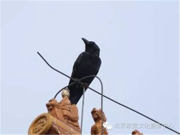 米乐M6官方入口