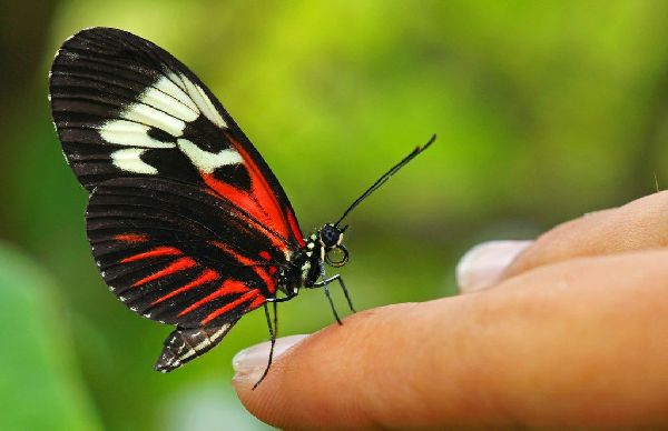 米乐M6官方入口