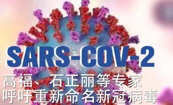 米乐M6官方入口|趣味剪纸,传承民间艺术(图3) m6最新官网