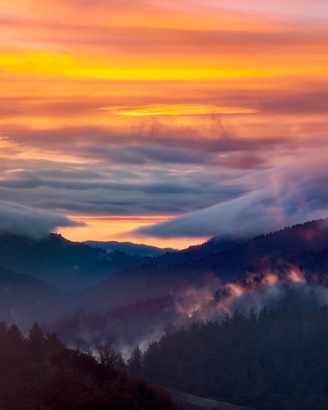 三全学院院长毕业典礼致辞:成就受人尊敬的三全人|m6最新官网(图1) m6最新官网